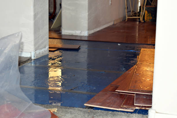 Professional Water Damage technician working in Unionville Center, OH