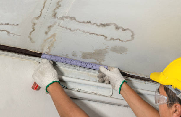 Reliable Water Damage contractor in Unionville Center, OH by Water Damage Irwin
